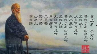 不可分割,揭秘万物互联的奥秘