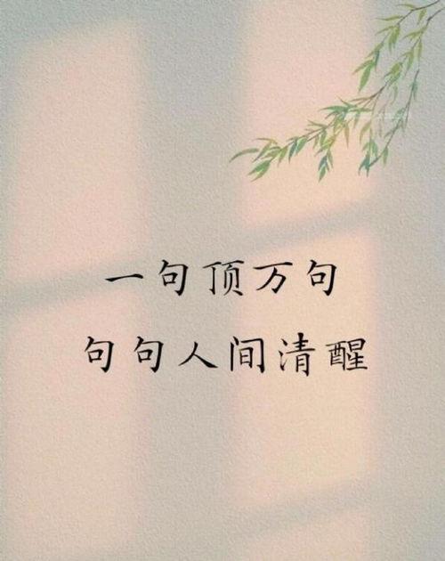 我只是人间清醒了一点,探寻自我意识的觉醒之路